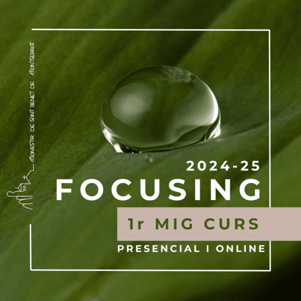 Focusing 1r mig curs | 2024-2025 | MATRÍCULA TANCADA