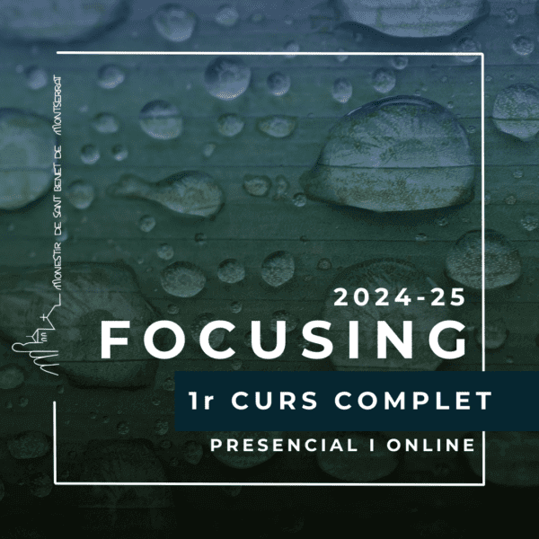 Focusing 1r curs complet | 2024-2025 | MATRÍCULA TANCADA