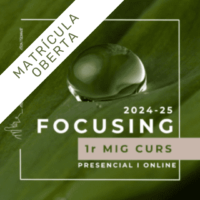 Focusing Montserrat Mig Curs Presencial i Online