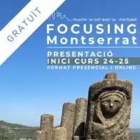 Focusing Inici Curs 2024-25