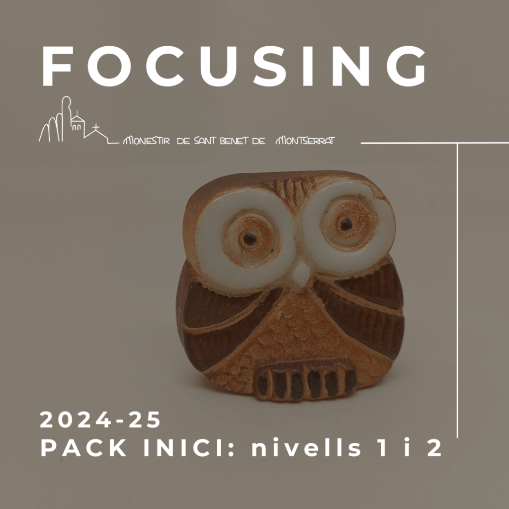 Focusing Pack Inici