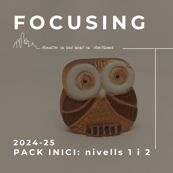 Focusing Pack Inici