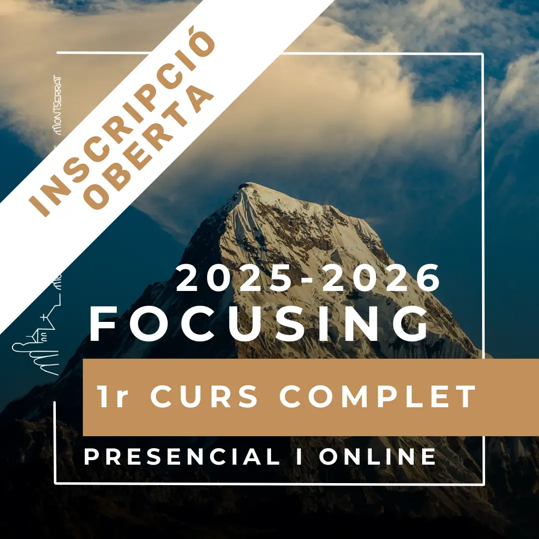 Matrícula Focusing Curs Complet 2025-2026