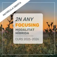 Focusing 2n Curs | 2025-2026 | MATRÍCULA OBERTA