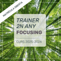 Trainer de Focusing 2, curs 2025-26