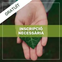 Focusing | Presentació Online 2n Any | 10 de Juliol 2025 (Gratuït)