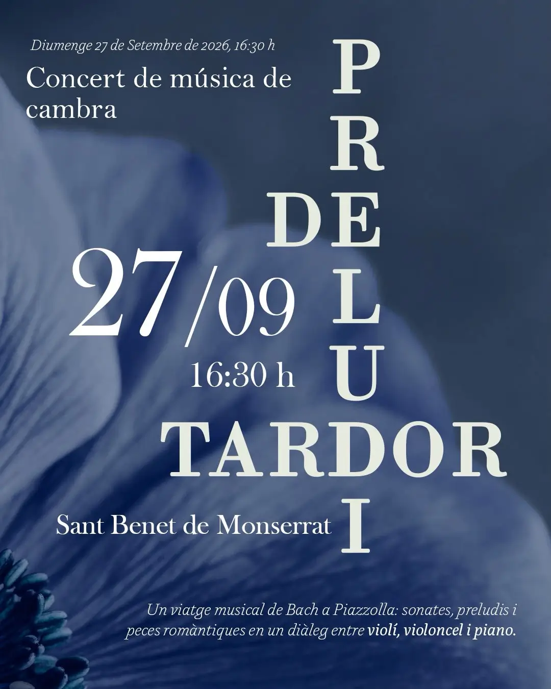Concert de cambra | Tardor 2026